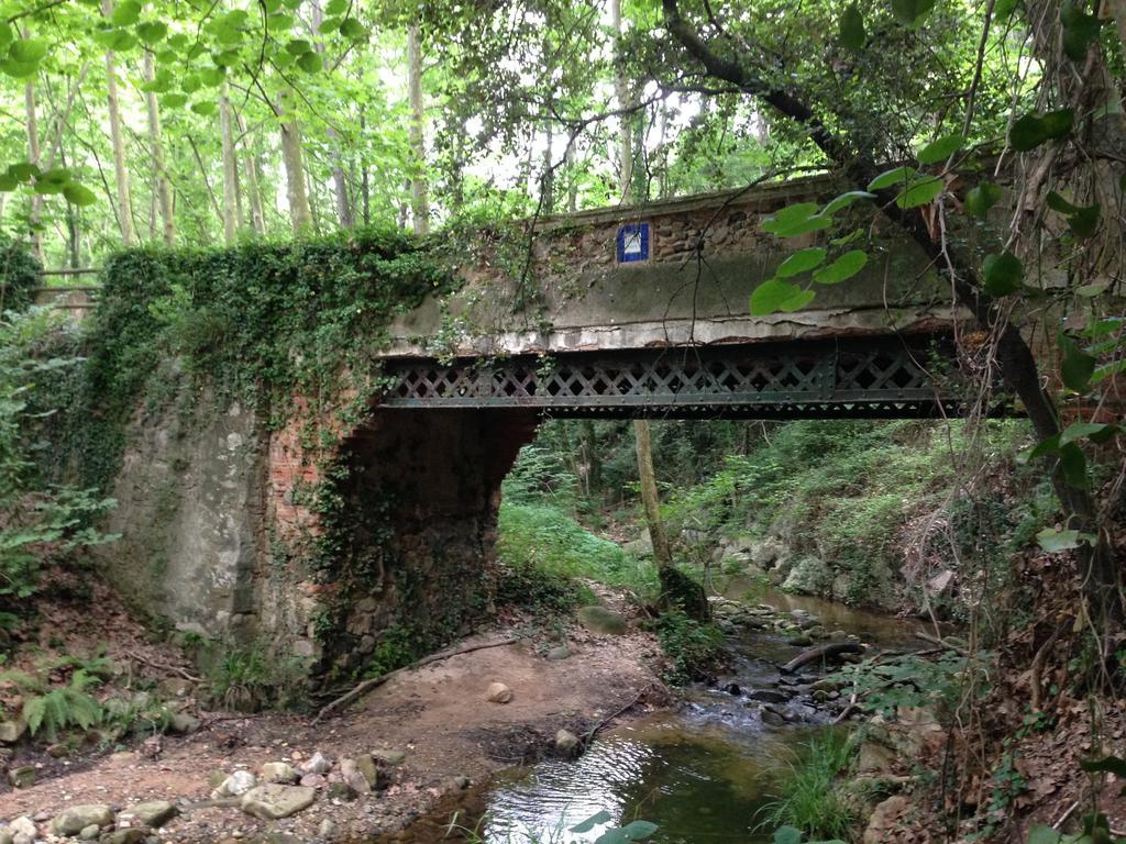 Apartaments Rural Montseny Гуальба-де-Дальт Экстерьер фото